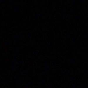 Meet your Posher, Jerilys